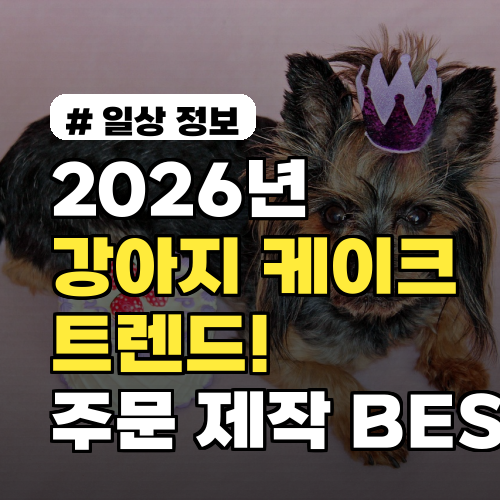 2026년 강아지 케이크 트렌드! 인기 폭발 주문 제작 BEST 5