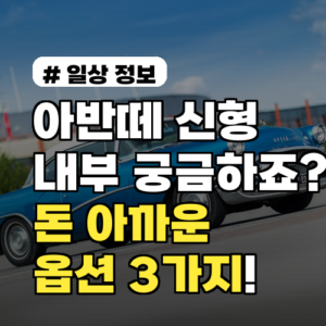 아반떼 신형 내부, 실제 오너가 뽑은 돈 아까운 옵션 3가지