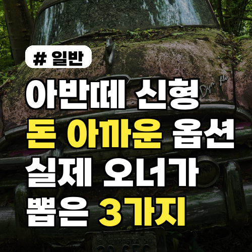 아반떼 신형 내부, 실제 오너가 뽑은 돈 아까운 옵션 3가지