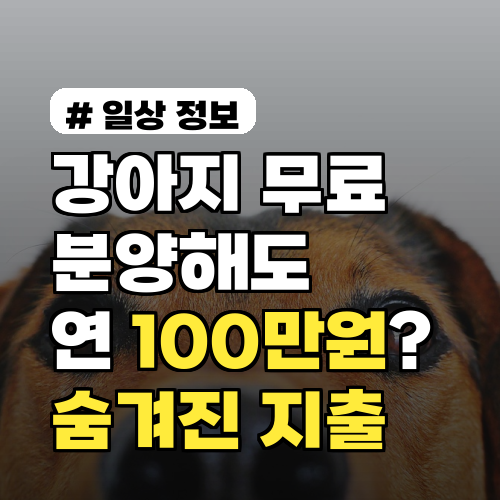 강아지 무료 분양해도 연 100만 원? 숨겨진 지출과 필수 준비물