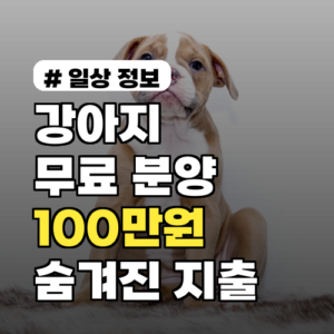 강아지 무료 분양해도 연 100만 원? 숨겨진 지출과 필수 준비물