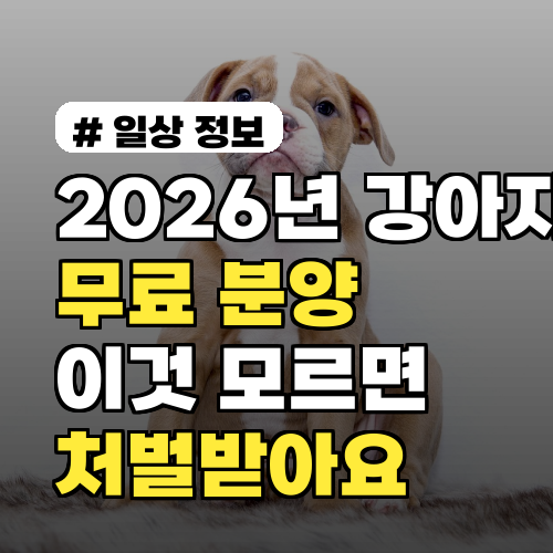 2026년 강아지 무료 분양, 이것 모르면 처벌? 달라진 입양법