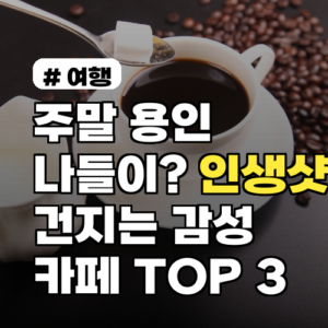 주말 용인 나들이? 인생샷 건지는 감성 카페 TOP 3