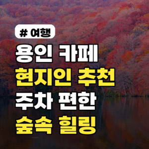 용인 카페, 현지인이 추천하는 주차 편한 숲속 힐링 명소