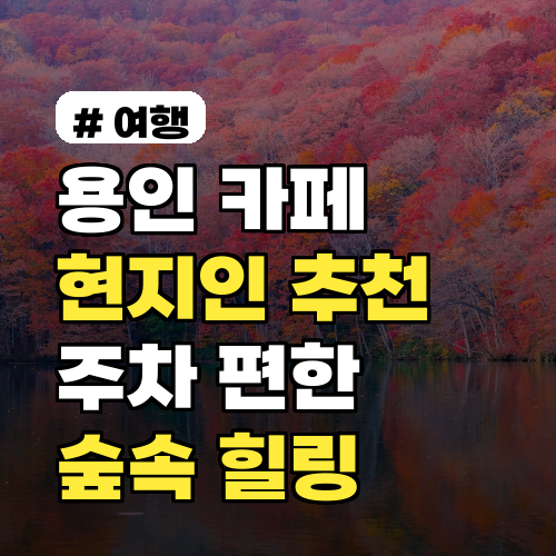 용인 카페, 현지인이 추천하는 주차 편한 숲속 힐링 명소