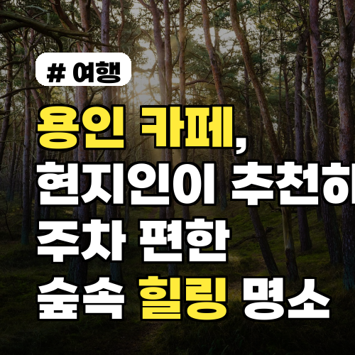 용인 카페, 현지인이 추천하는 주차 편한 숲속 힐링 명소