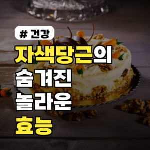 자색당근의 숨겨진 놀라운 효능 3가지! 일반 당근과 비교 분석