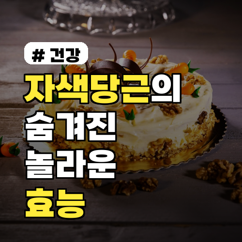 자색당근의 숨겨진 놀라운 효능 3가지! 일반 당근과 비교 분석