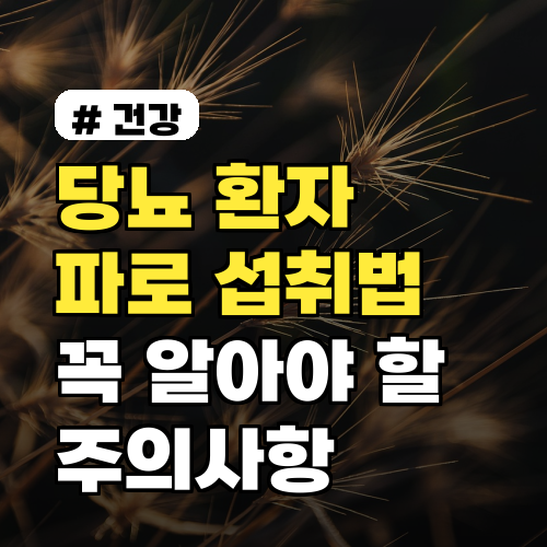 당뇨 환자가 꼭 알아야 할 파로 섭취법과 주의사항