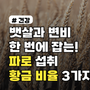 뱃살과 변비 한 번에 잡는! 파로 섭취 황금 비율 3가지