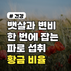 뱃살과 변비 한 번에 잡는! 파로 섭취 황금 비율 3가지