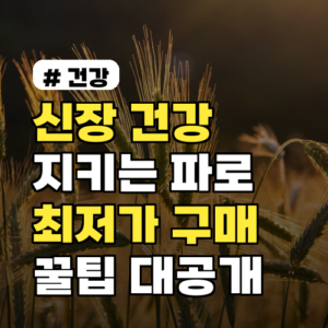 신장 건강 지키는 곡물 파로, 효과 높이는 최저가 구매 꿀팁