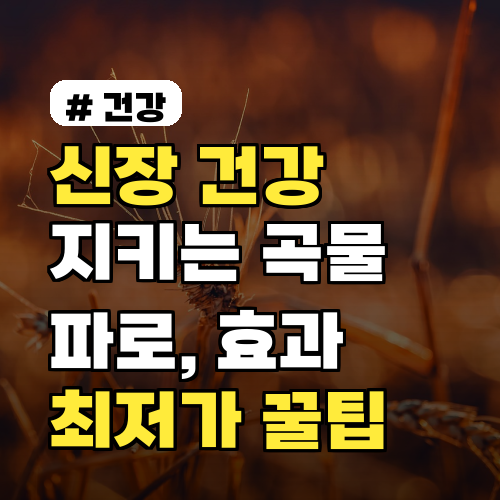 신장 건강 지키는 곡물 파로, 효과 높이는 최저가 구매 꿀팁
