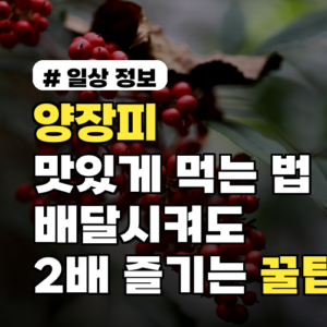 양장피 맛있게 먹는 법? 배달시켜도 2배 더 즐기는 꿀팁