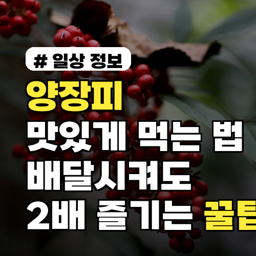 양장피 맛있게 먹는 법? 배달시켜도 2배 더 즐기는 꿀팁