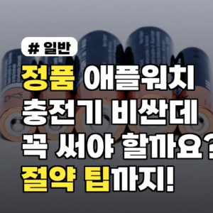 정품 애플워치 충전기? 비싸도 꼭 써야 하는 2가지 이유와 절약 팁