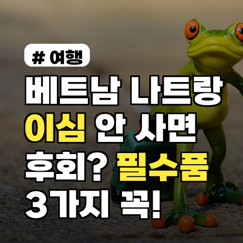 베트남 나트랑 이심 안 사면 후회? 꼭 챙겨야 할 현지 필수품 3가지