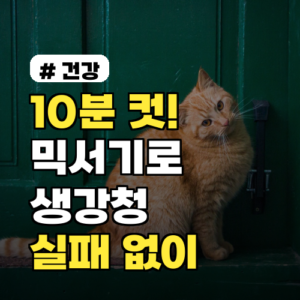 10분 컷! 믹서기로 생강청만들기, 초보도 실패 없이