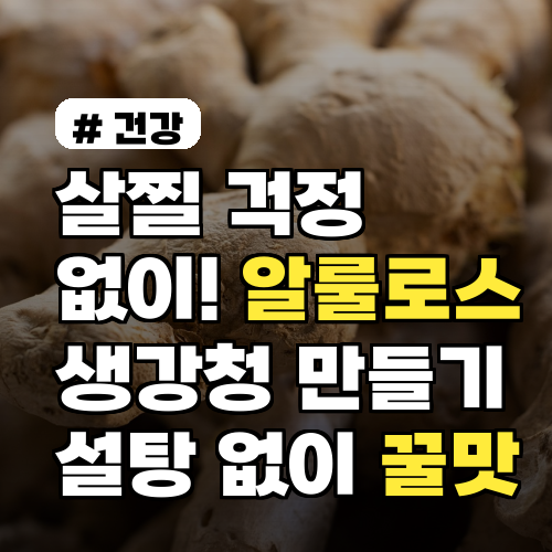 살찔 걱정 없이! 알룰로스 생강청만들기, 설탕 없이 꿀맛