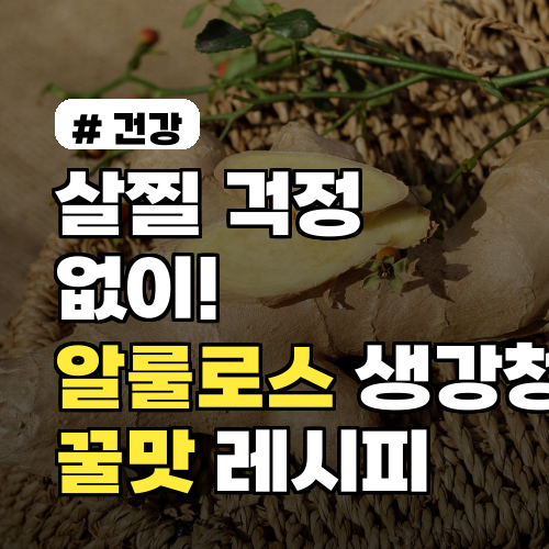 살찔 걱정 없이! 알룰로스 생강청만들기, 설탕 없이 꿀맛