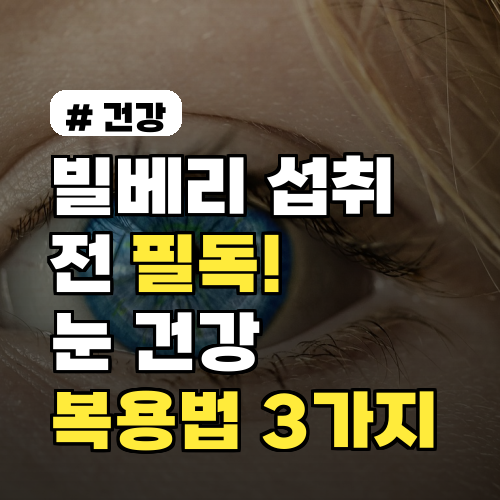 빌베리 섭취 전 필독! 눈 건강 지키는 빌베리 복용법 3가지