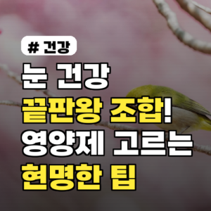눈 건강 끝판왕 조합! 빌베리, 루테인, 아스타잔틴 현명하게 고르는 팁