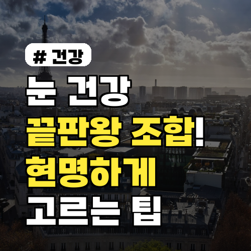 눈 건강 끝판왕 조합! 빌베리, 루테인, 아스타잔틴 현명하게 고르는 팁
