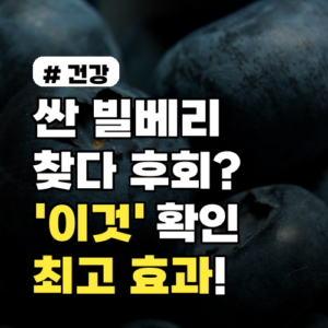 싼 빌베리만 찾다간 후회? ‘이것’ 확인하면 최고 효과 보는 법