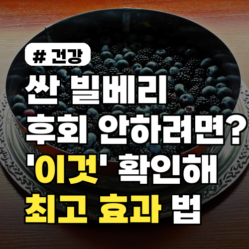 싼 빌베리만 찾다간 후회? '이것' 확인하면 최고 효과 보는 법