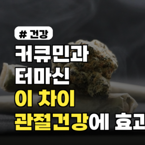 커큐민과 터마신, ‘이 차이’ 알고 먹어야 관절 건강에 효과적!