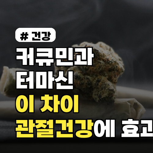 커큐민과 터마신, '이 차이' 알고 먹어야 관절 건강에 효과적!