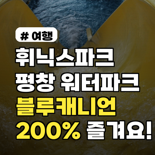 휘닉스파크 평창 워터파크, 의외로 모르는 블루캐니언 200% 즐기는 팁