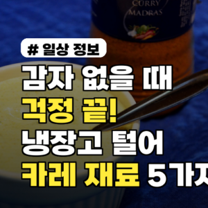 감자 없을 때 걱정 끝! 냉장고 털어 만드는 맛있는 카레 재료 5가지