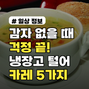 감자 없을 때 걱정 끝! 냉장고 털어 만드는 맛있는 카레 재료 5가지