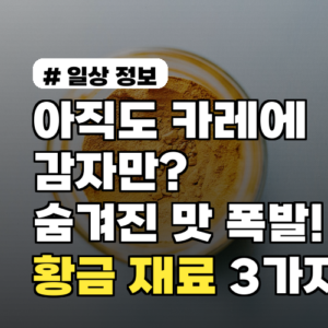 아직도 카레에 감자만? 숨겨진 맛 폭발, 의외의 황금 카레 재료 3가지