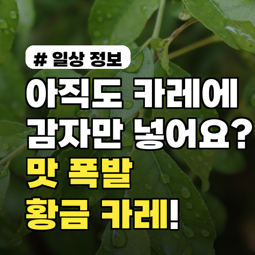 아직도 카레에 감자만? 숨겨진 맛 폭발, 의외의 황금 카레 재료 3가지