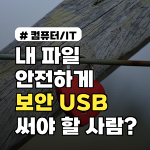 내 파일 안전하게 지키는 보안 USB, 꼭 써야 할 사람은?