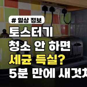 토스터기 청소 안 하면 세균 득실? 5분 만에 새것처럼!