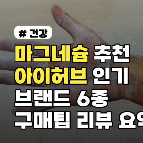 마그네슘 추천 아이허브 인기 브랜드 6종 직접 비교 할인 팁 구매팁과 리뷰 요약