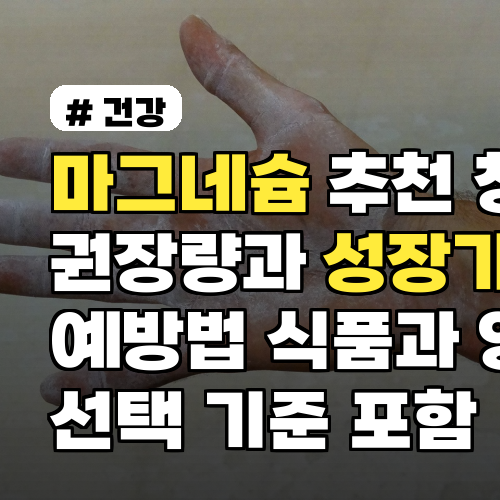 마그네슘 추천 청소년 권장량과 성장기 부작용 예방법 식품과 영양제 선택 기준 포함