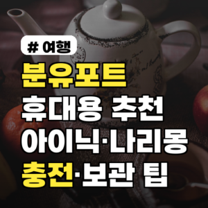 분유포트 휴대용 추천: 아이닉·나리몽 여행용 사용팁과 충전법, 보관요령