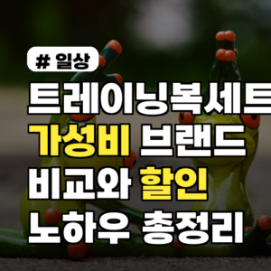 트레이닝복세트 가성비 브랜드 비교와 할인 노하우 총정리 최대 할인 시기 포함