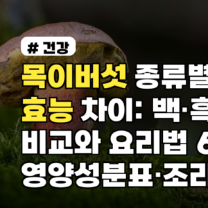목이버섯 종류별 효능 차이: 백·흑 비교와 요리법 6가지 영양성분표·조리팁까지