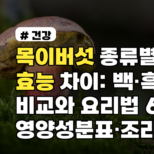목이버섯 종류별 효능 차이: 백·흑 비교와 요리법 6가지 영양성분표·조리팁까지
