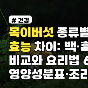 목이버섯 종류별 효능 차이: 백·흑 비교와 요리법 6가지 영양성분표·조리팁까지
