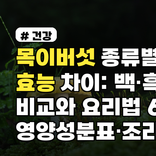 목이버섯 종류별 효능 차이: 백·흑 비교와 요리법 6가지 영양성분표·조리팁까지