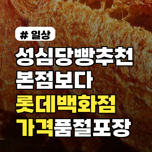 성심당 빵 추천 본점보다 롯데백화점이 더 좋은 이유 가격·품절률·포장차이 분석