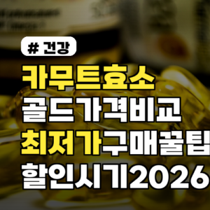 카무트효소 골드 가격비교와 최저가 구매 꿀팁 7선 및 2026년 할인시기 포함