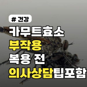 카무트효소 부작용, 이런 질환자는 복용 전 반드시 확인하세요 의사상담 팁 포함