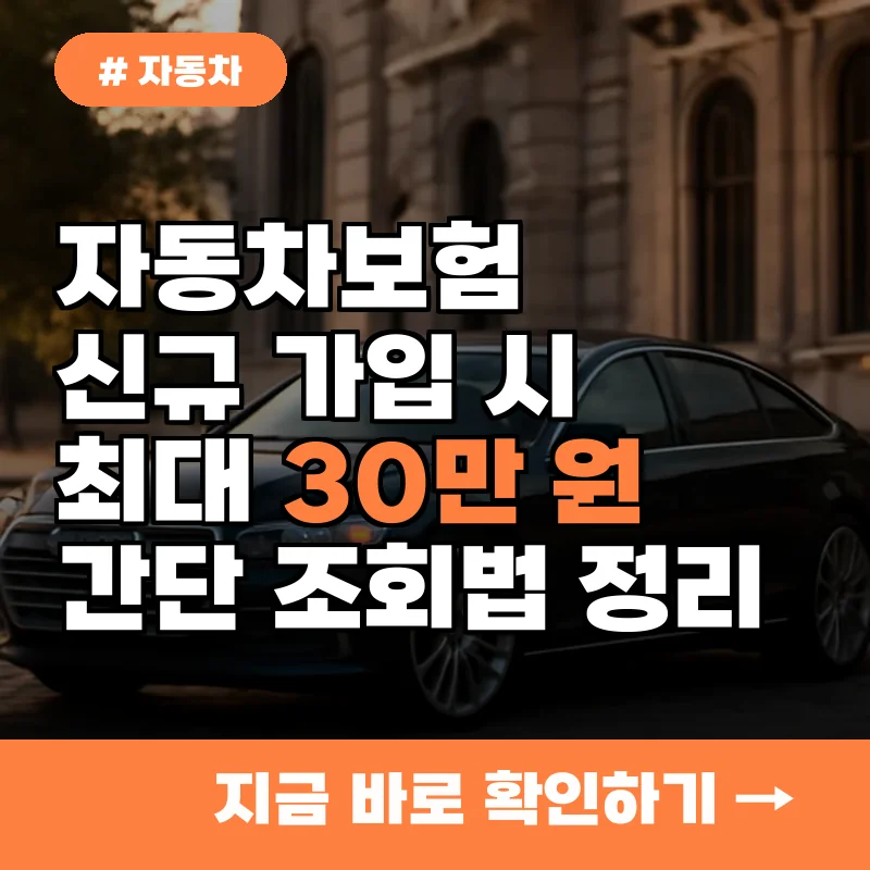 자동차보험 신규 가입 시 최대 30만 원 절약하는 간단 조회법 정리